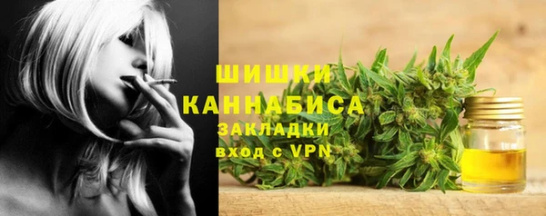 соль ск Елабуга