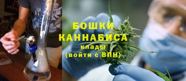 ECSTASY Ельня