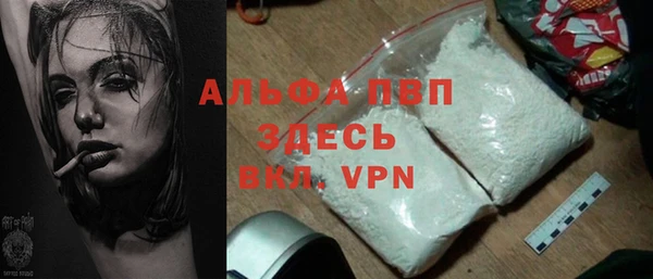 ECSTASY Ельня