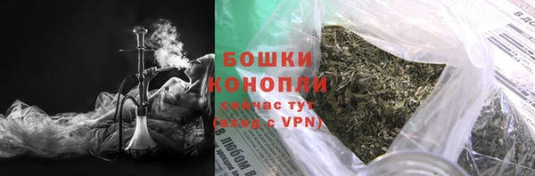 ECSTASY Ельня