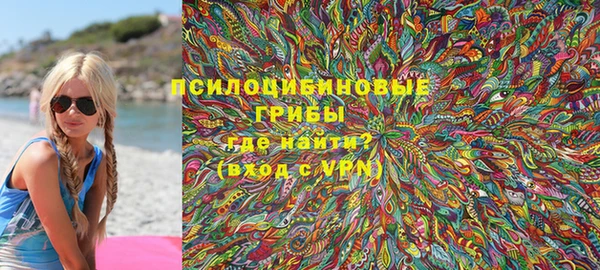 дмт Елизово