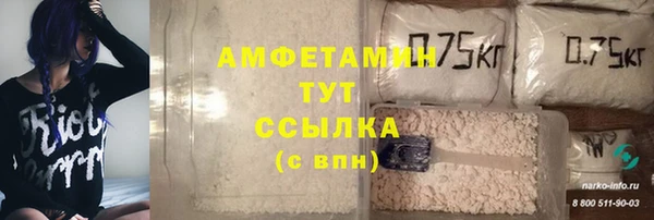 ECSTASY Ельня