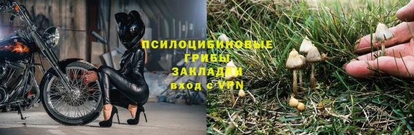 ECSTASY Ельня