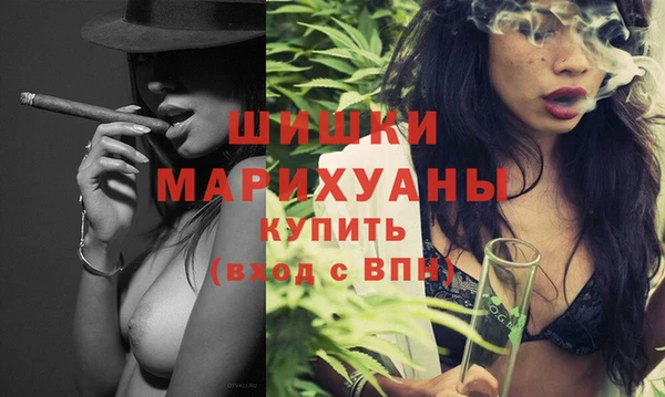 ECSTASY Ельня