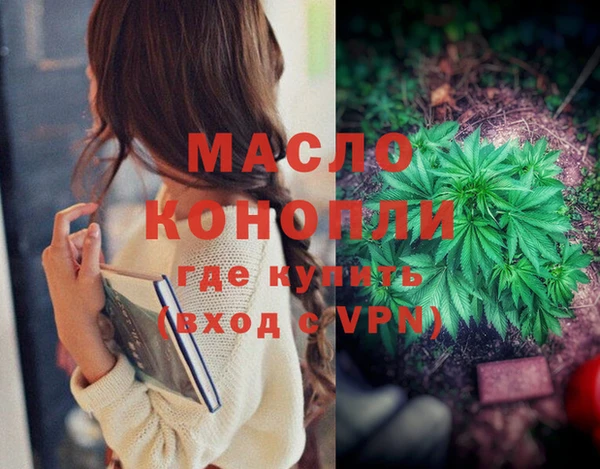 соль ск Елабуга