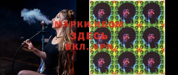 ECSTASY Ельня