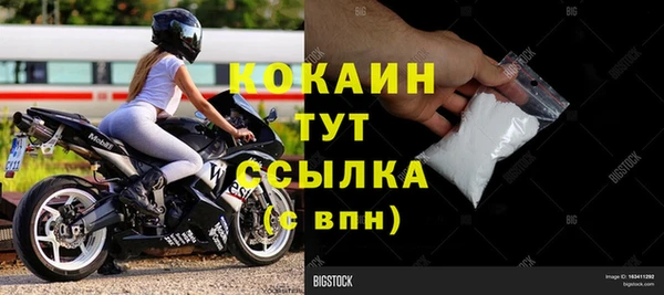 дмт Елизово