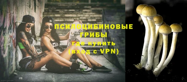 дмт Елизово