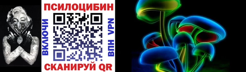 Купить где  Чекалин  Галлюциногенные грибы Cubensis 